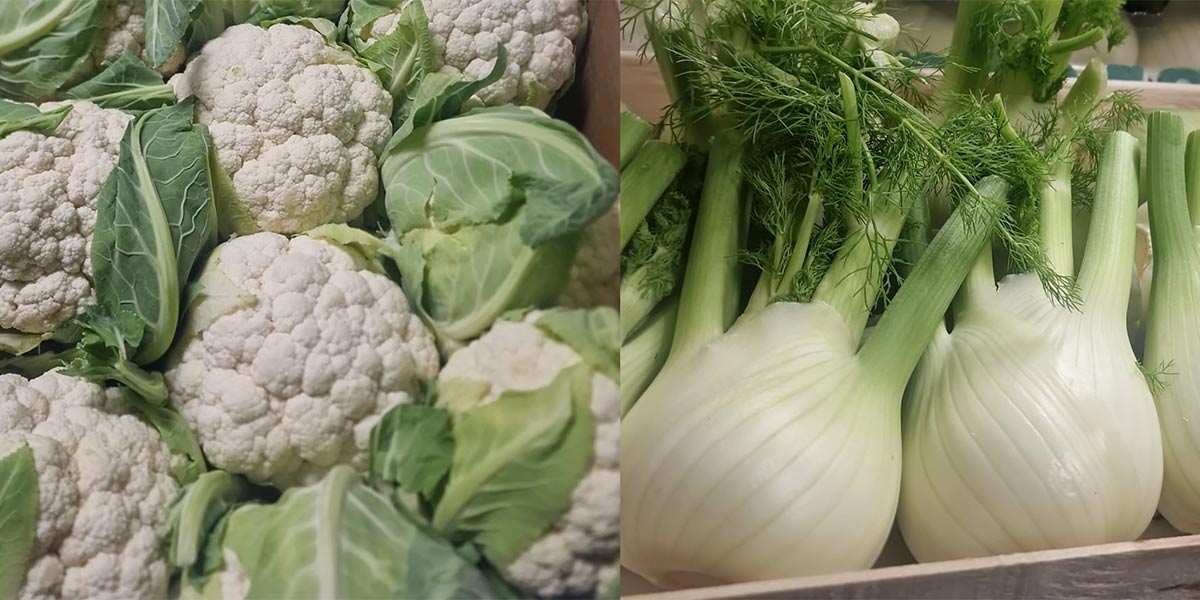 «Per cavolfiori e finocchi regnano i prezzi bassi»
